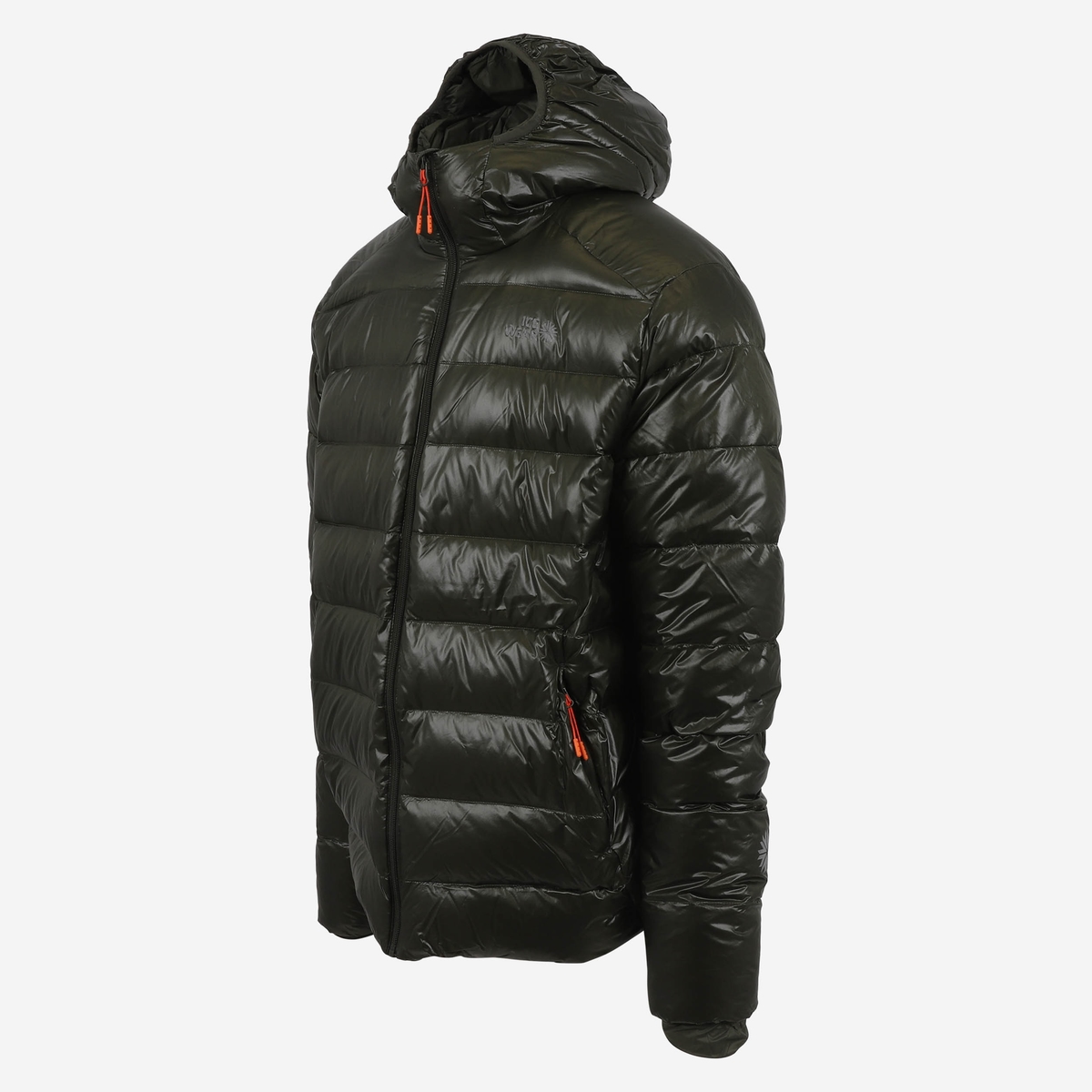 BARDABUNGA22-SHINY-Gloss-winter-down-jacket-iceland_50.jpeg